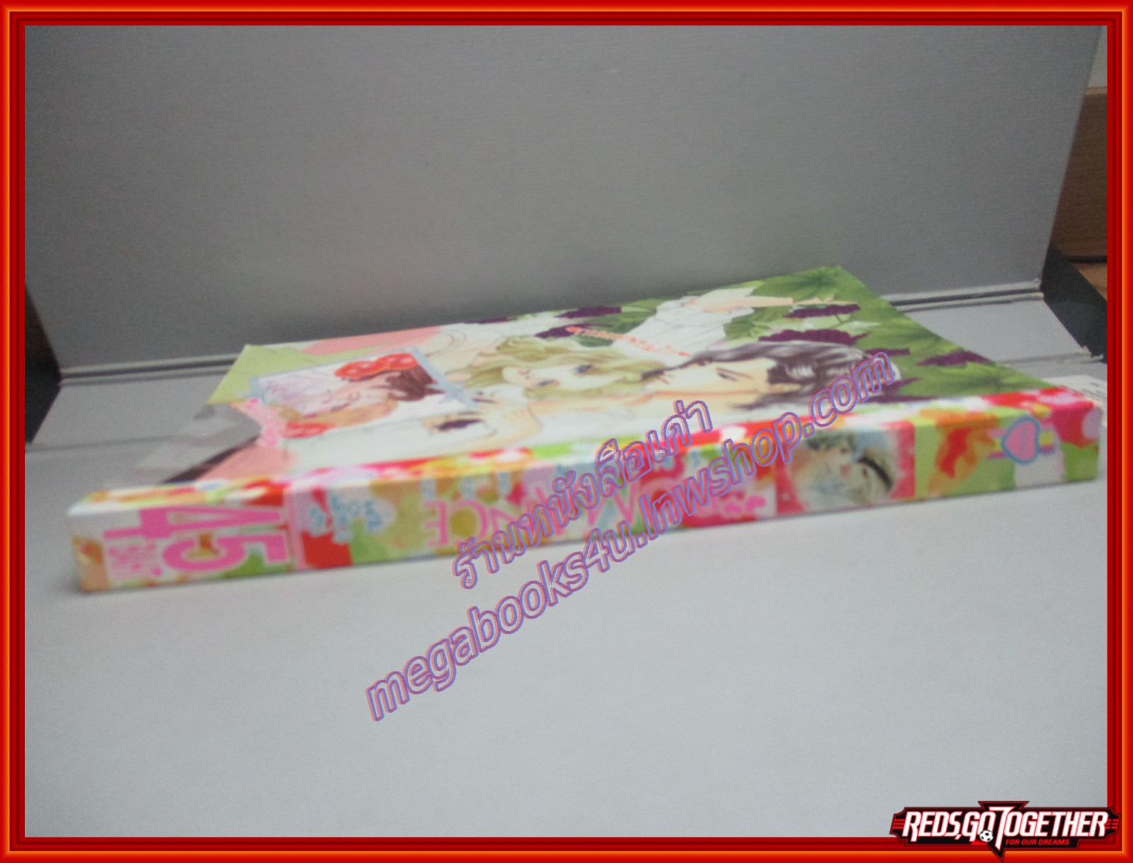 การ์ตูนบ้าน ROMANCE โรมานซ์ 255 เล่มเดียวจบ สนพ.หมึกจีน