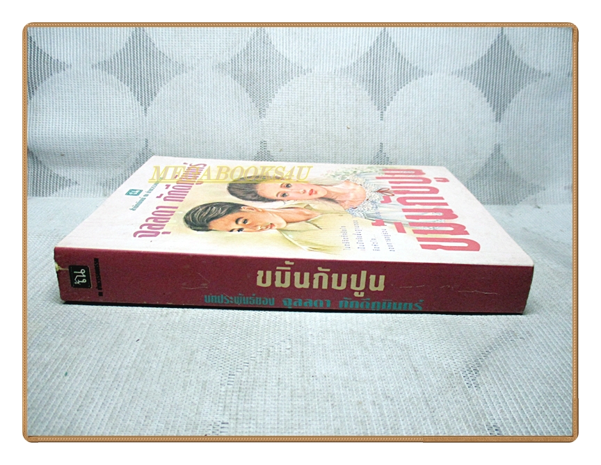 ขมิ้นกับปูน โดย จุลลดา ภักดีภูมินทร์ เล่มเดียวจบ