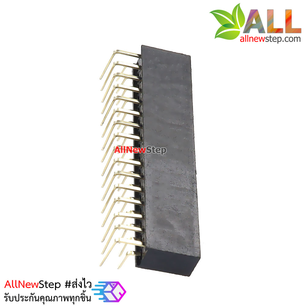 ขาก้างปลาตัวเมียแบบฉาก 2x16 ขา Double Row Hole Jack 2x16 PIN Header 2.54mm