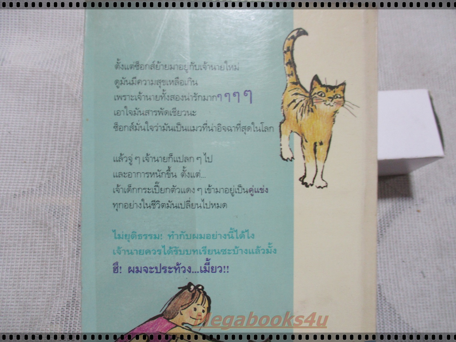 ซ็อกส์ ลูกแมวขี้งอน SOCKS