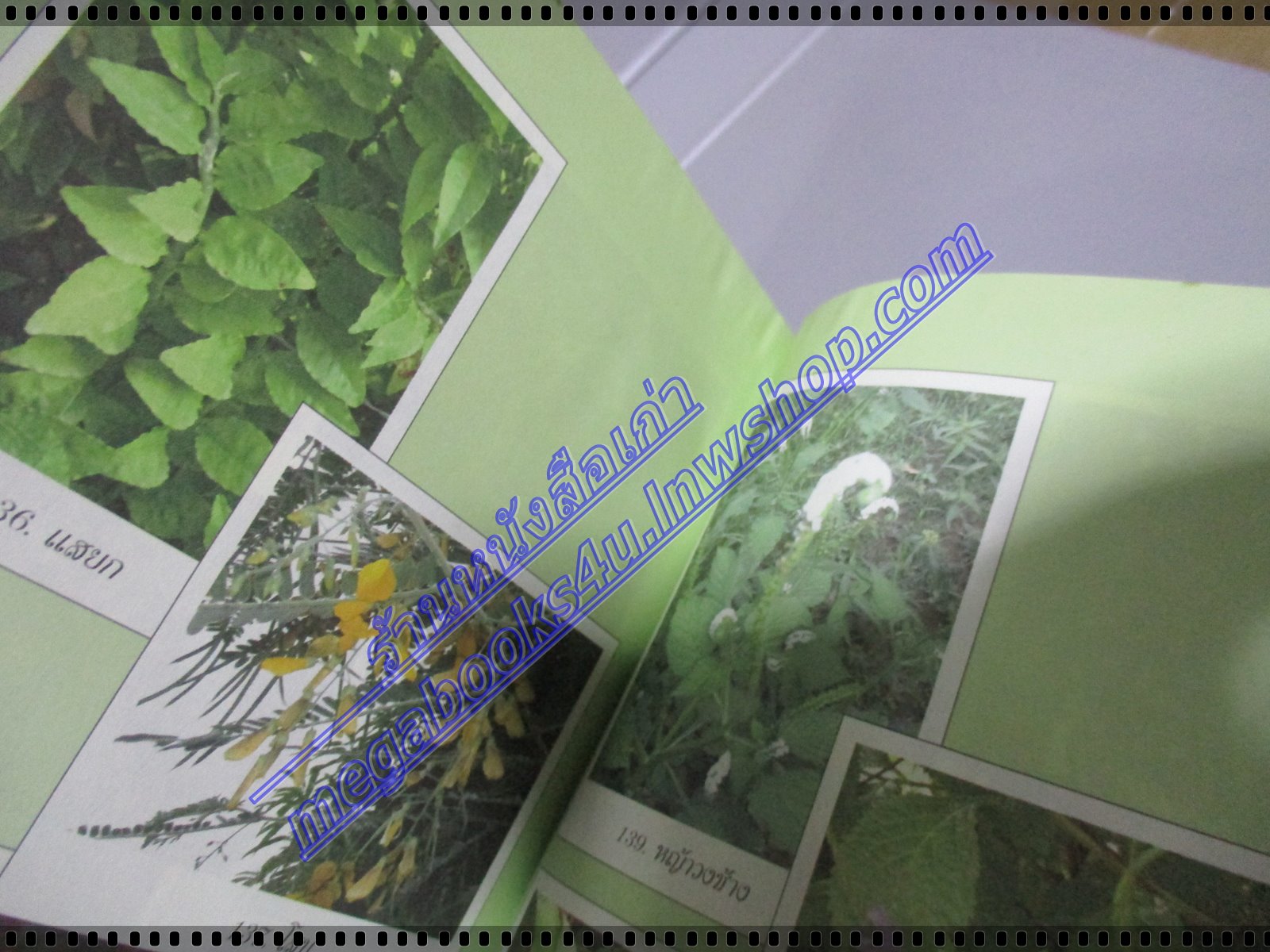 รักษาโรคด้วยสมุนไพรใกล้ตัว โดย อ.โชติอนันต์ และคณะ มีคราบน้ำจางๆ