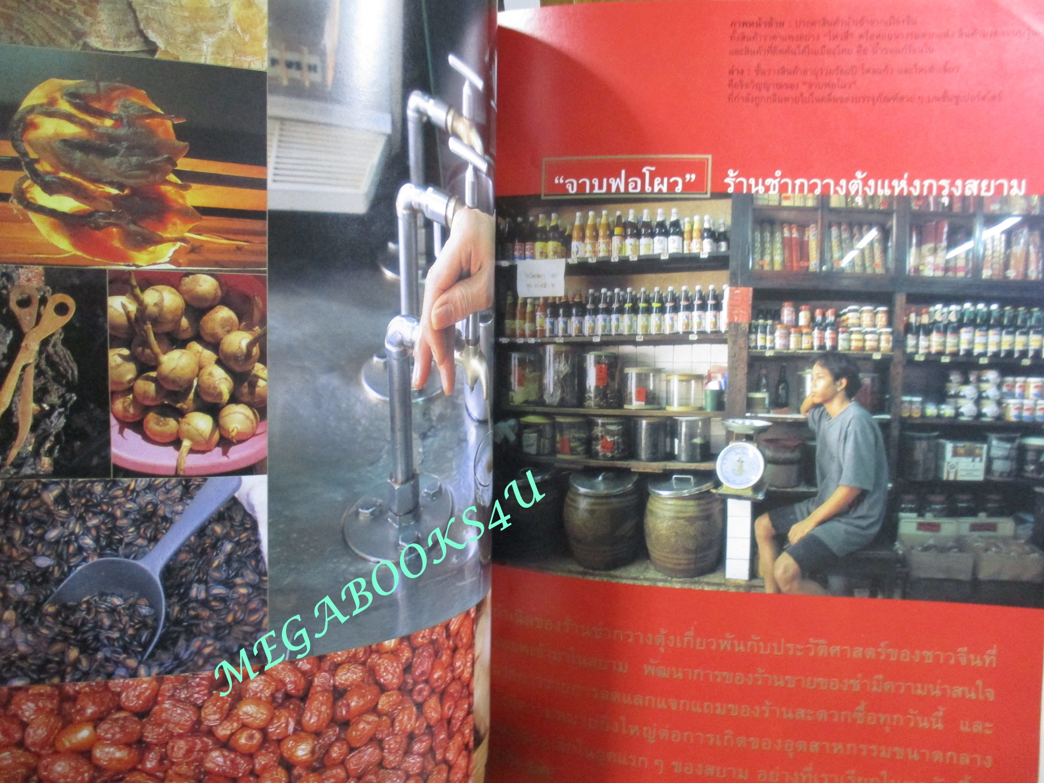 นิตยสารสารคดี ฉบับที่206 เม.ย.2545,ดิกชันนารี ของสอ เสถบุตร,ร้านชำกวางตุ้งในสยาม,หมาใน