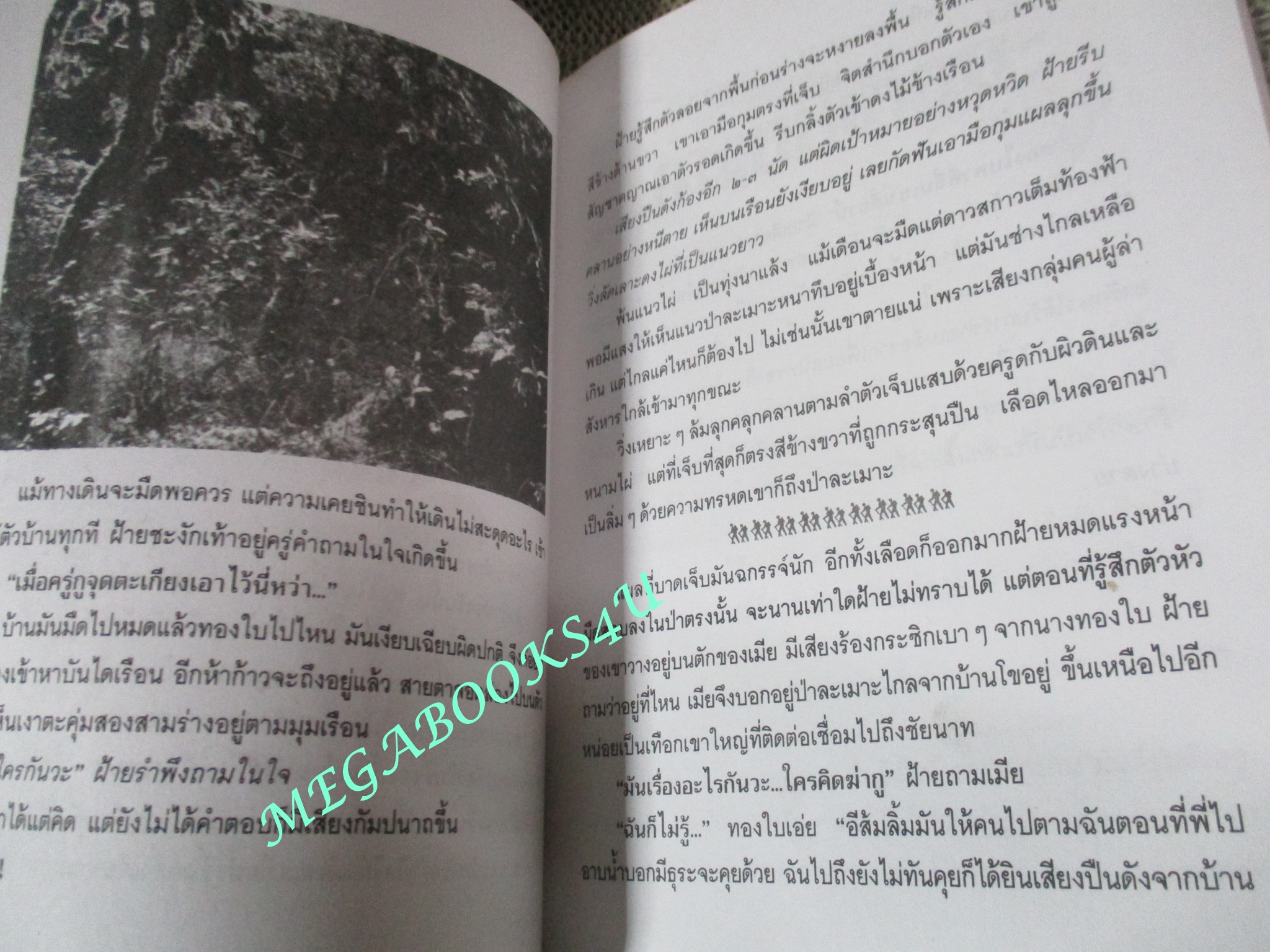 หนังสือ เสือฝ้าย / เพลิง ภูผา / ฆ่าระงับการฆ่า เหี้ยมระงับโหด เรื่องจริงของเสือร้ายลุ่มน้ำเจ้าพระยา (มือสอง) (สภาพ85-95%) ตำหนิ มีคราบน้ำเล็กน้อย