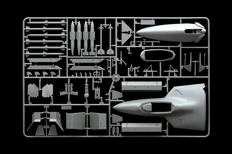 1/48 F - 22 RAPTOR