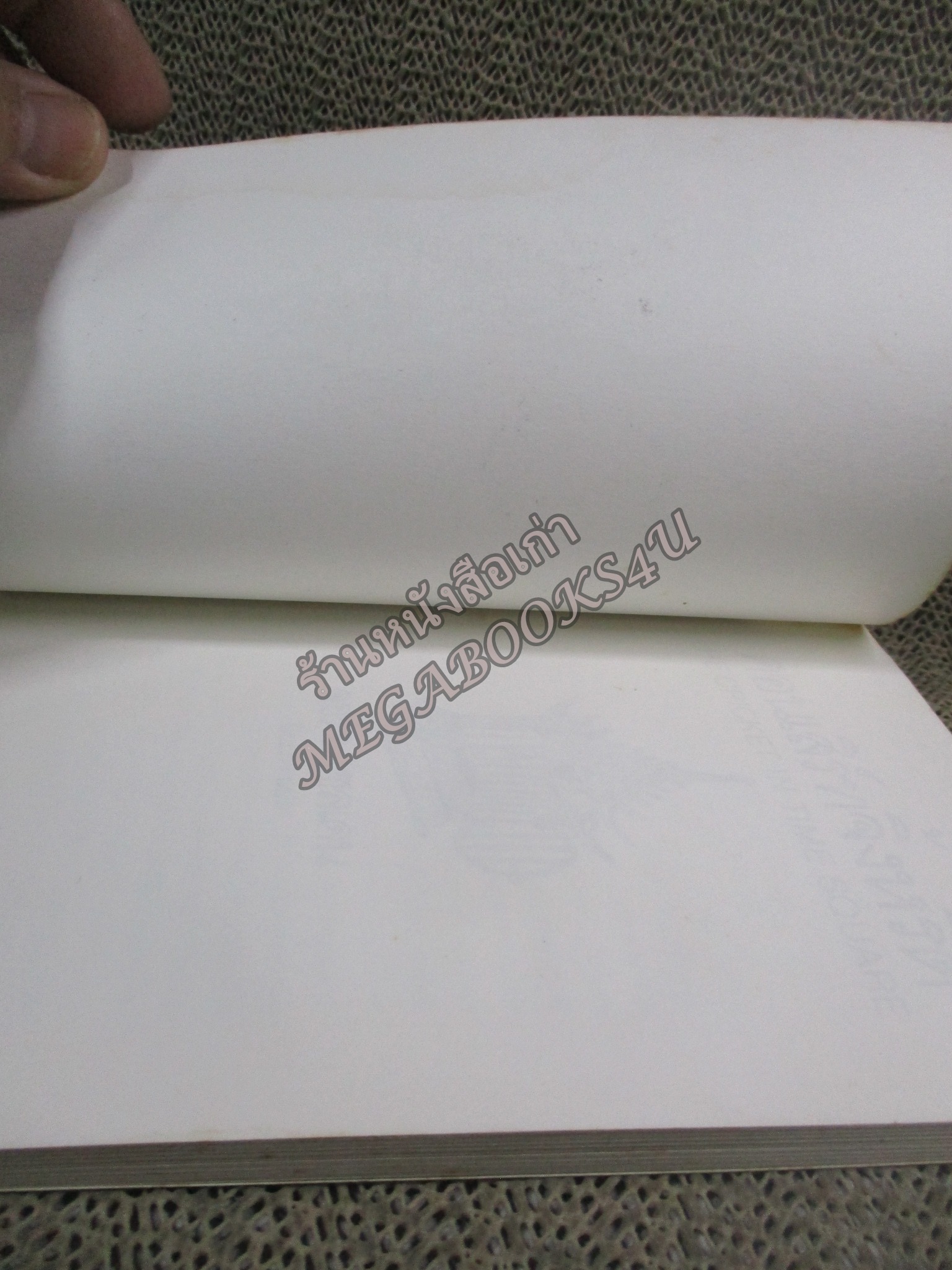 คอนเสิร์ทจิ้งหรีด / ปิยะภา /