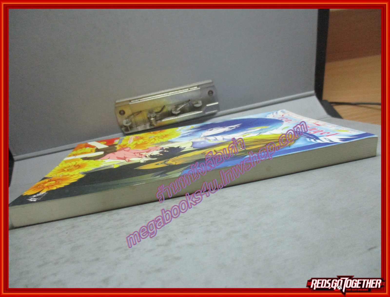 นิยายวาย stray angel