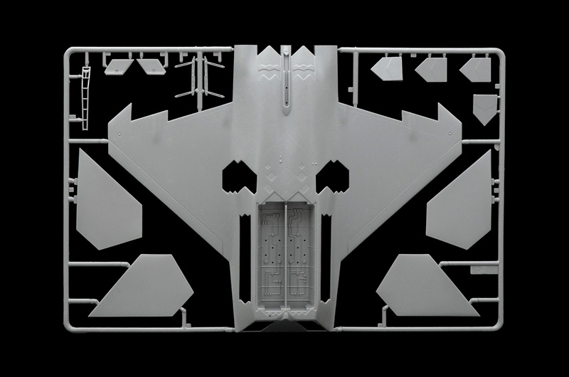 1/48 F - 22 RAPTOR