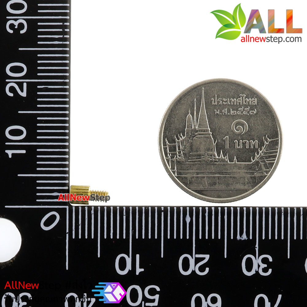 น็อตทองเหลือง NUT M2 ขนาด 3+3mm