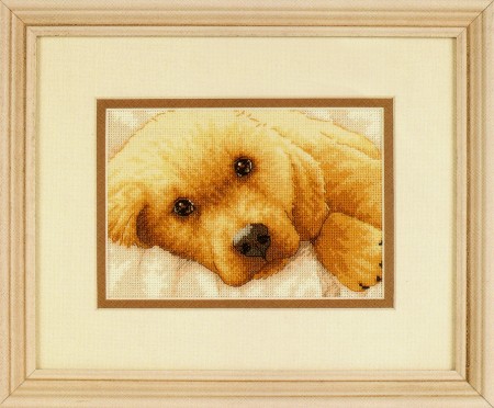 Dimensions ชุดปัก Golden Puppy