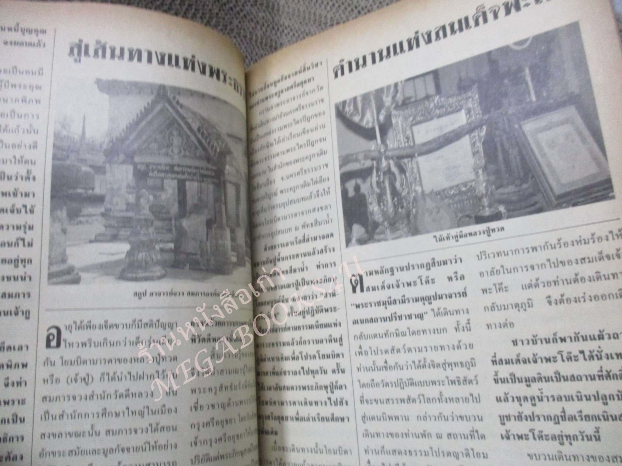 หนังสือพระเครื่อง พระเนื้อว่าน ตระกูลหลวงปู่ทวด