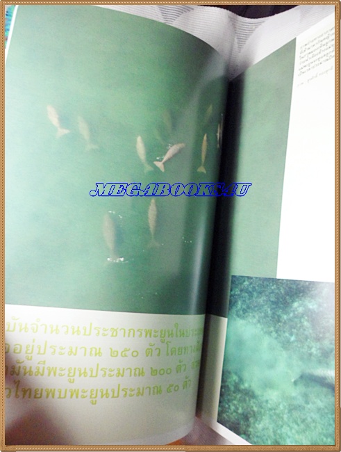 นิตยสารสารคดี ฉบับที่267 พ.ค. 2550,ปีที่23 สาละวิน,พะยูน,สัมภาษณ์มาโนช พุฒตาล,เที่ยวพะเยา, สภาพดี สำเนา