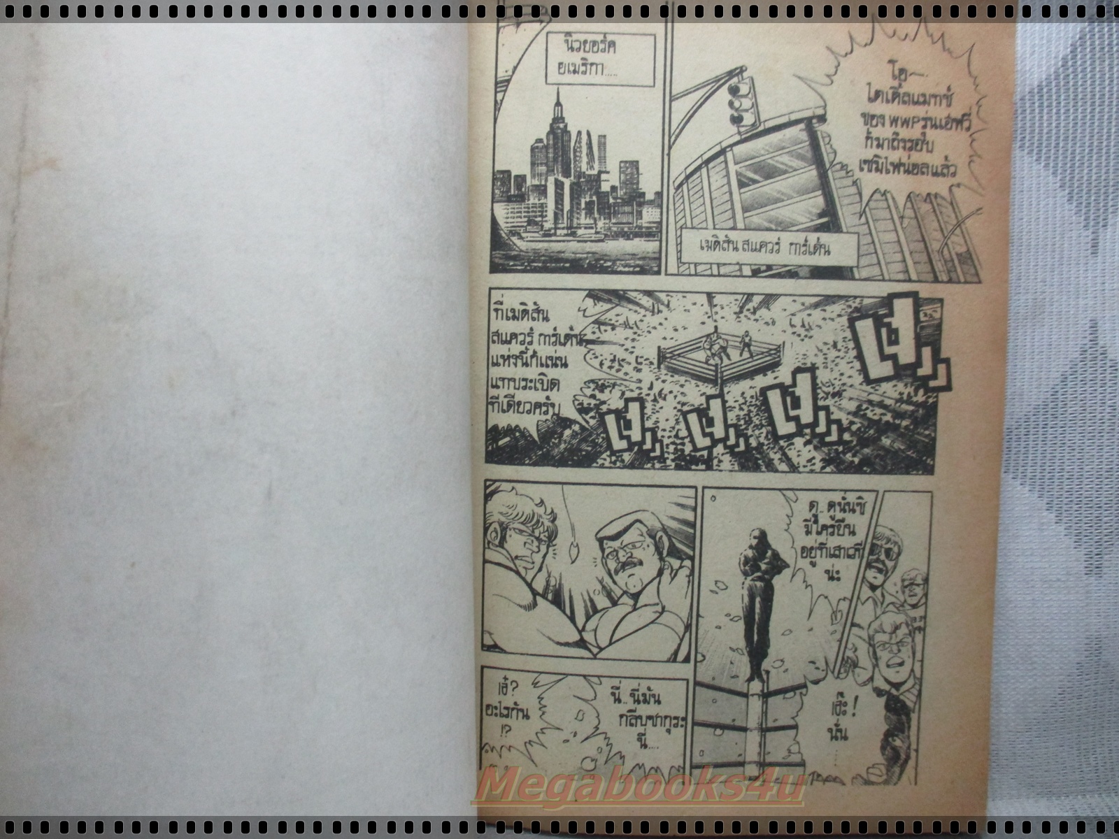 การ์ตูนเก่าแค้นนินจา เล่มเดียวจบ