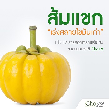 Cho12 โช ทเวลฟ์ by เนย โชติกา