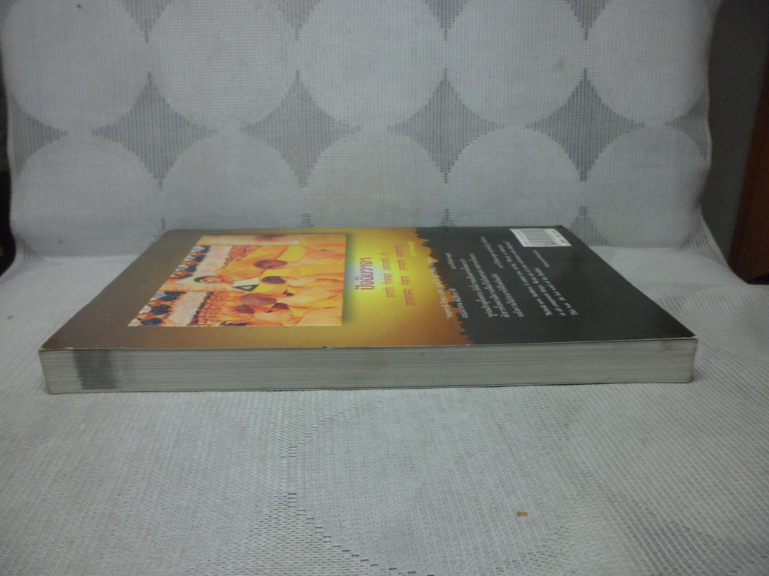 ประวัติศาสตร์พระพุทธศาสนาในอินเดีย โดยพระมหาดาวสยาม วชิรปัญโญ