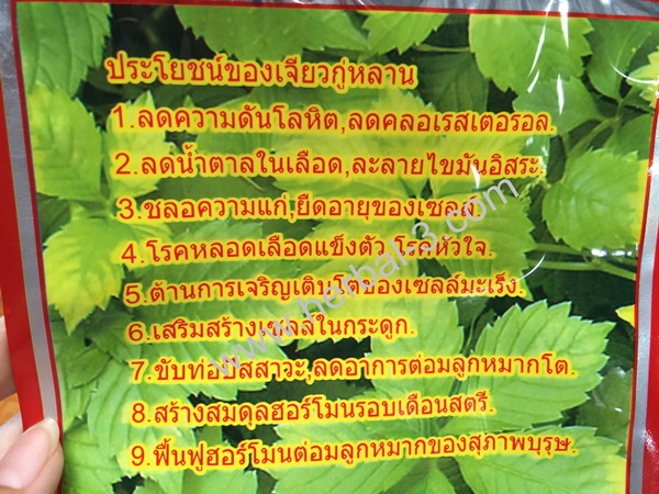 พิเศษเจียวกู่หลาน แท้ 100% คัดพิเศษเกรดA ชนิดพิเศษปลูกในแปลงเกษตร สาธิต ดูแลอย่างดี (ชนิดหอม)