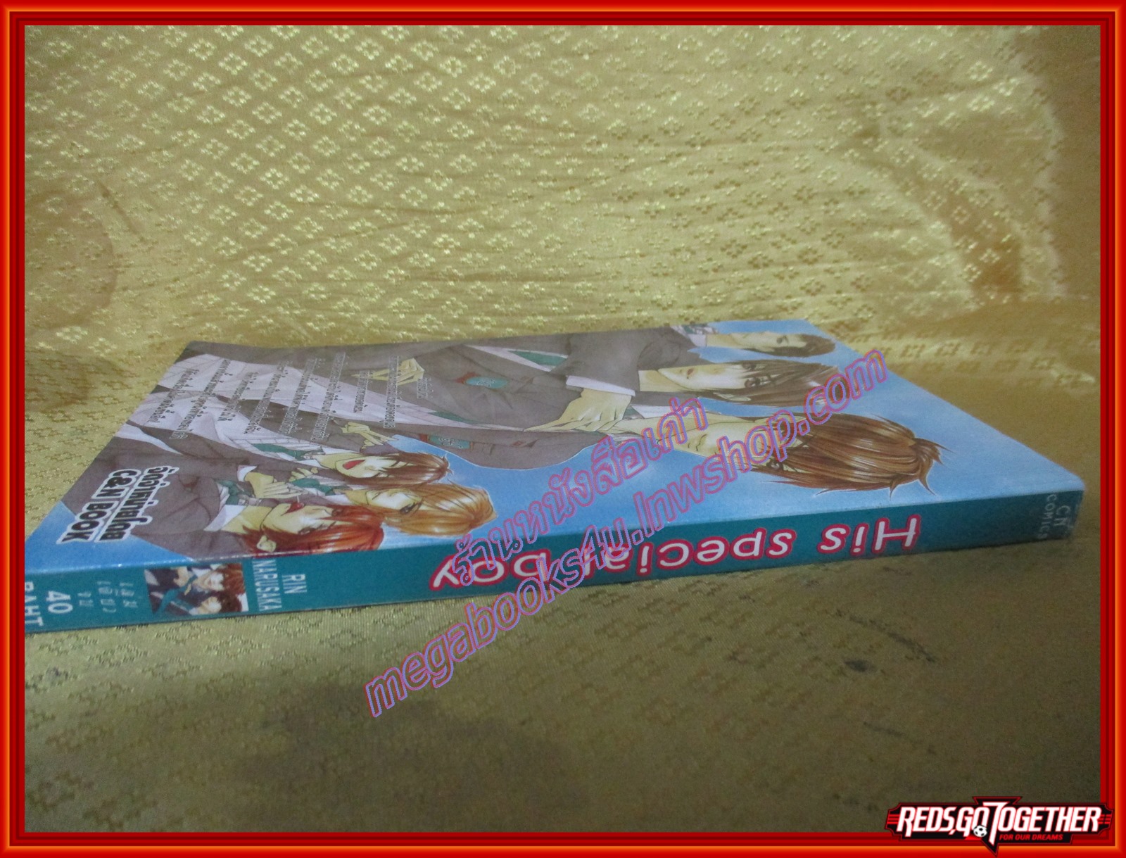 การ์ตูนวาย HIS SPECIAL BOY ฮีส สเปเชี่ยล บอย