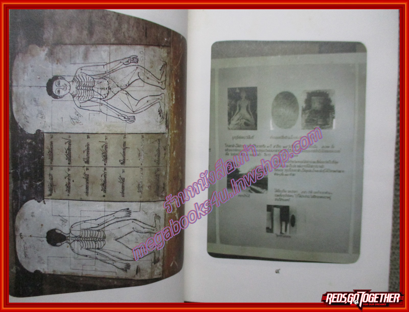 หลักการใช้ยาสมุนไพรรักษาโรคต่างฯ เปรียบเทียบกับการใช้ยาแผนปัจจุบัน รักษาโรคเหล่านั้น ตามหลัการศึกษายาสมุนไพร ผู้เขียน พ.ต.อ.ชลอ อุทกภาชน์ (หนังสือบ้าน มือสอง) (สภาพ85-95%)