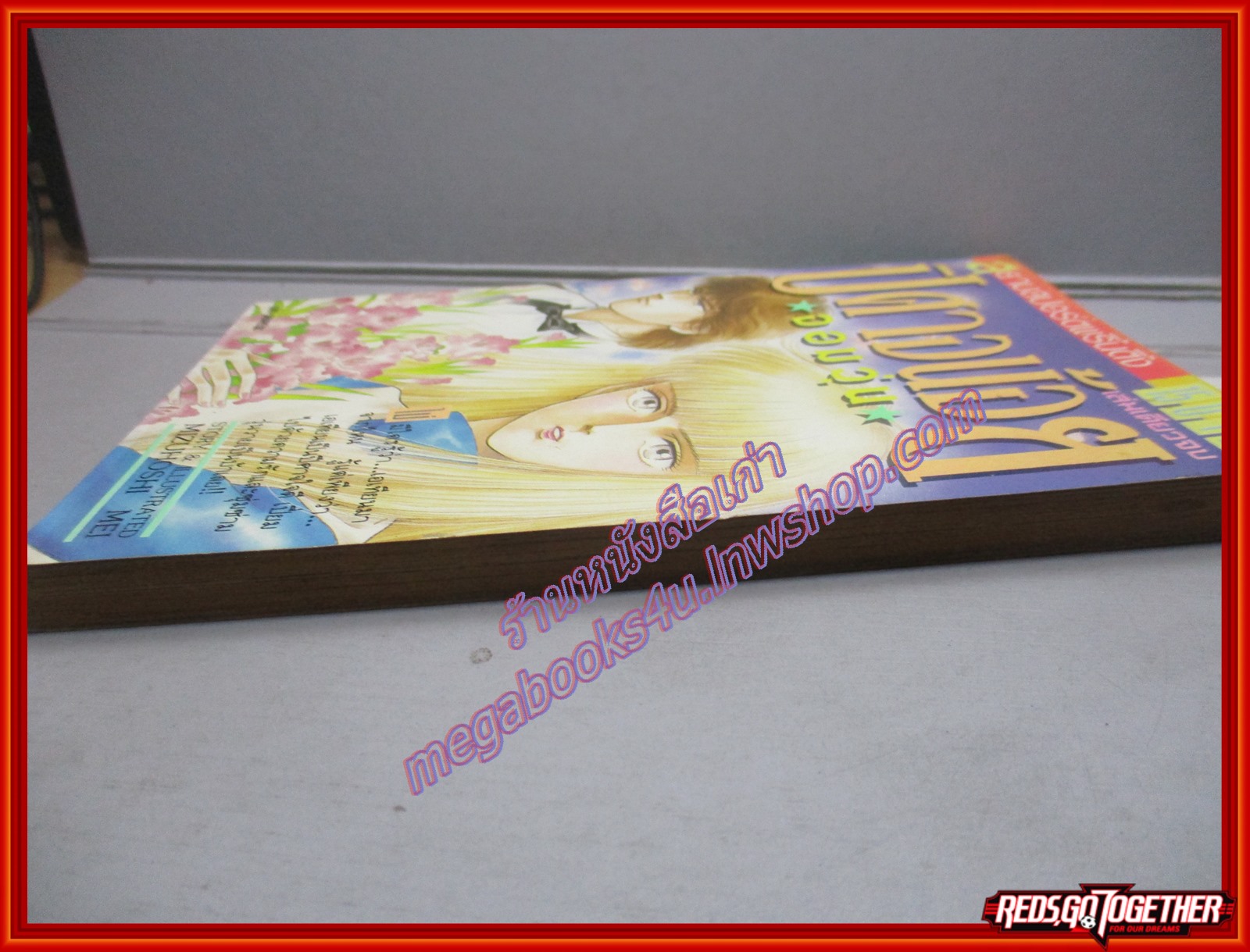 การ์ตูนบ้าน ปิศาจน้อยจอมวุ่น โดย MIZUHOSHI MEI เล่มเดียวจบ