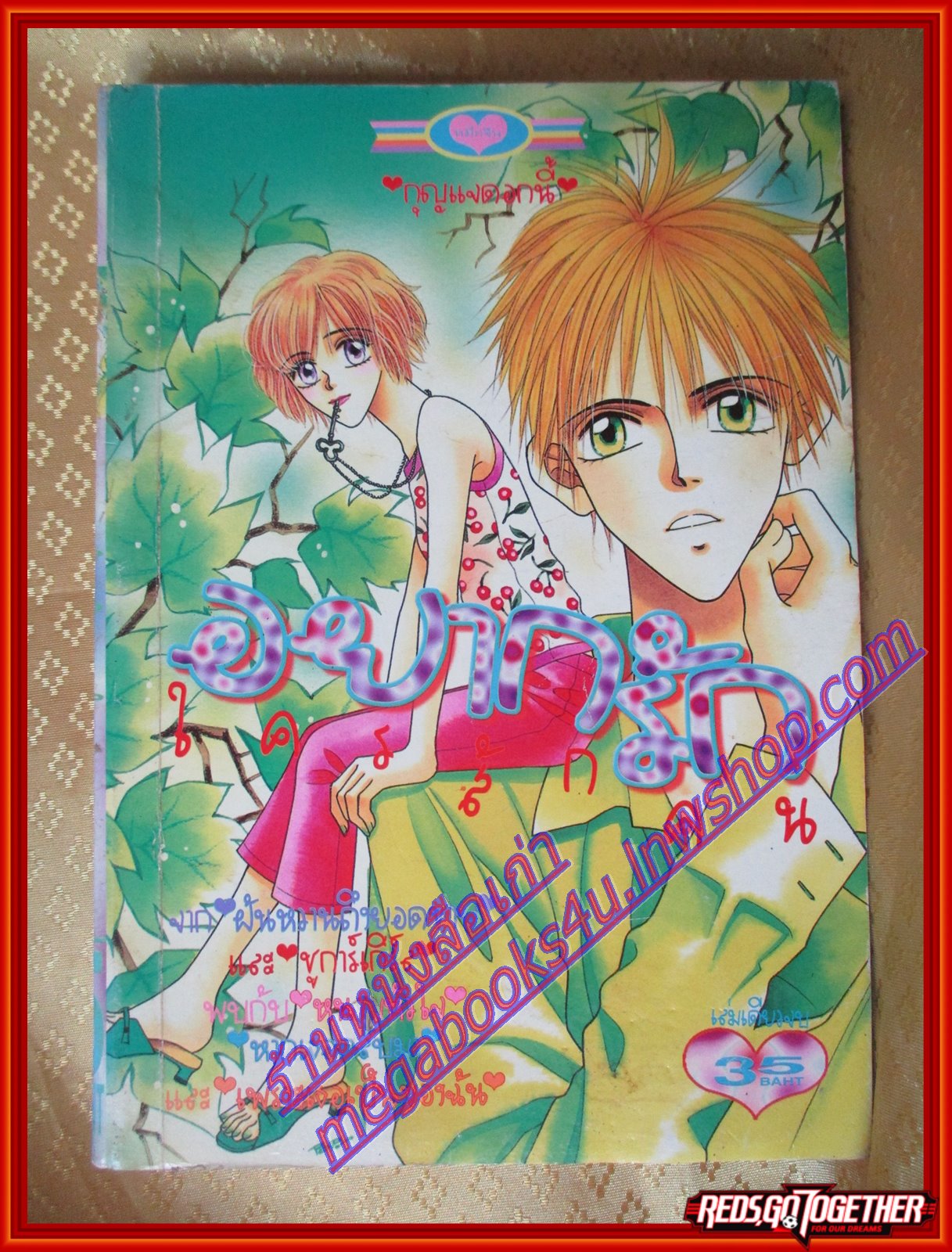 การ์ตูนบ้าน อยากรักใครสักคน เล่มเดียวจบ โดย xxx สนพ.หมึกจีน