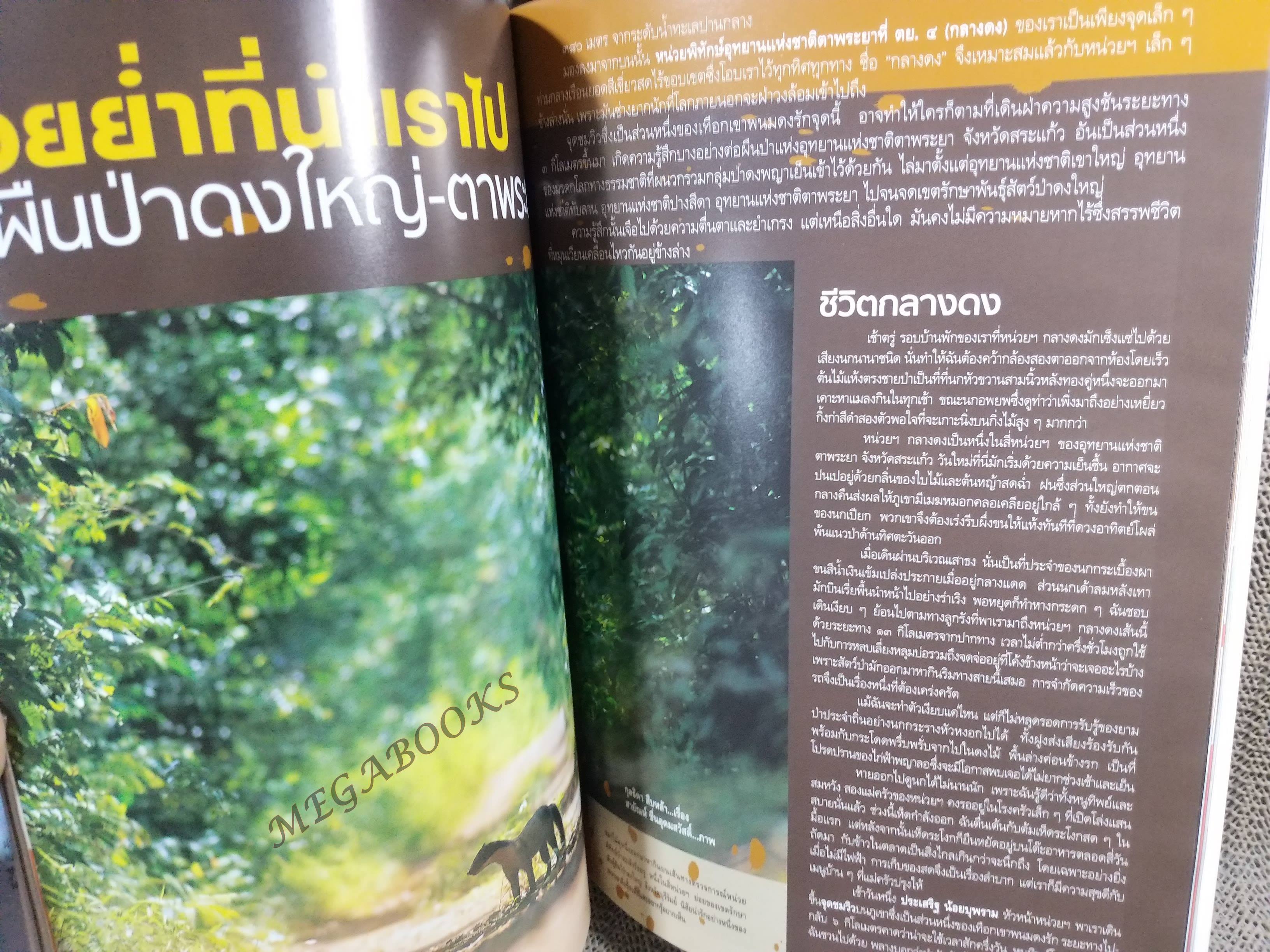 อนุสาร อ.ส.ท. ปี46 พ.ย.2548 มรดกโลก