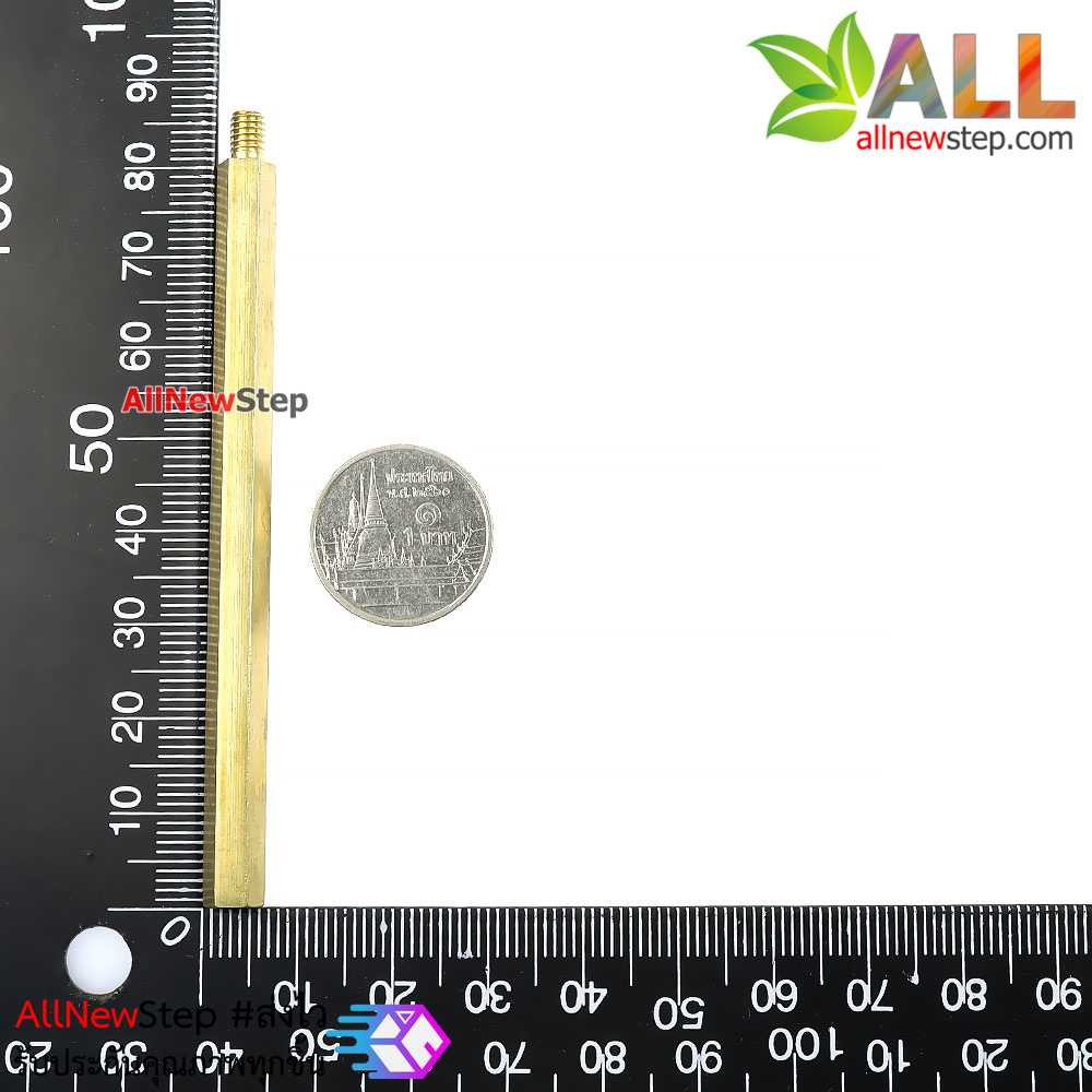 น็อตทองเหลือง ขนาด M4 80+6mm