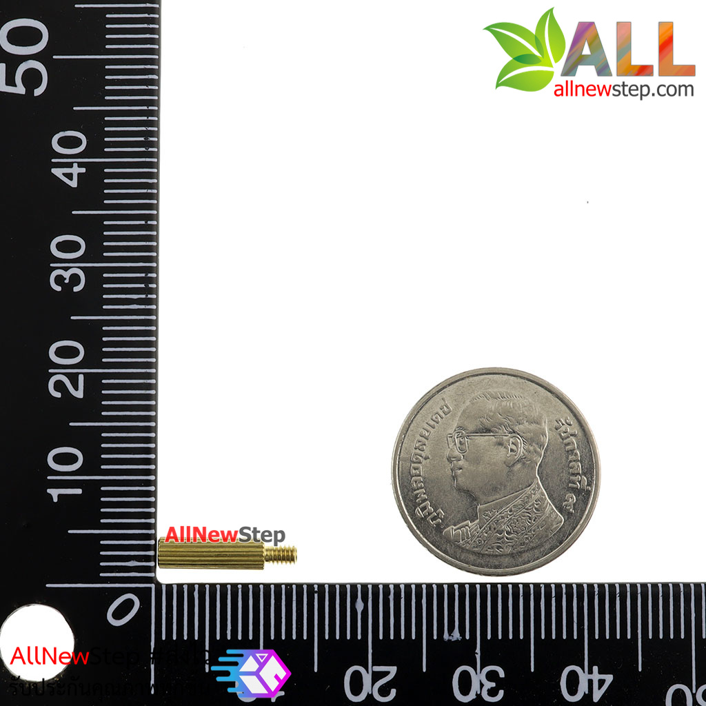 น็อตทองเหลือง NUT M2 ขนาด 10+3mm
