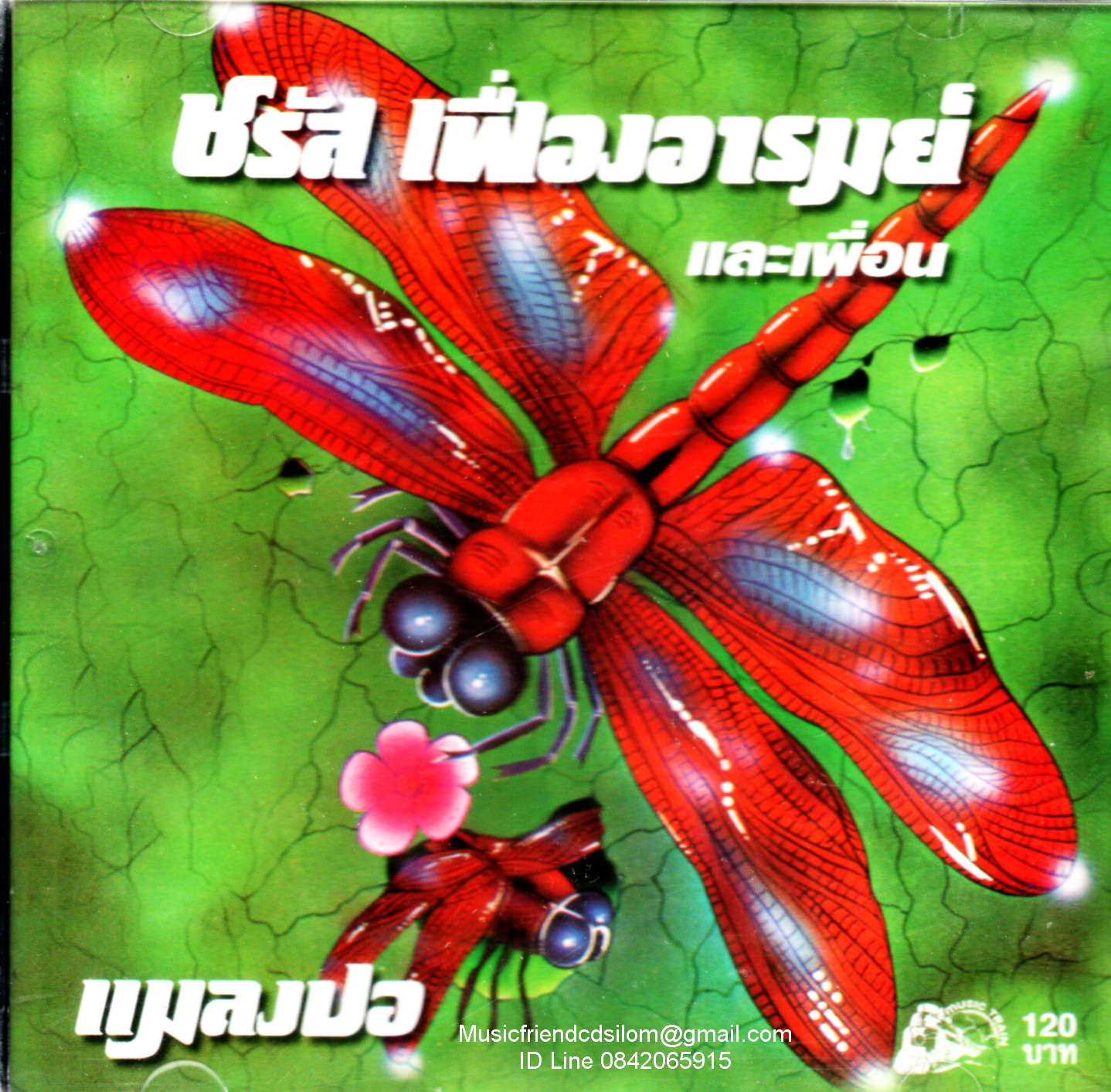 CD,ชรัส เฟื่องอารมย์ และเพือน ชุด แมลงปอ (Charus Fuengarom)