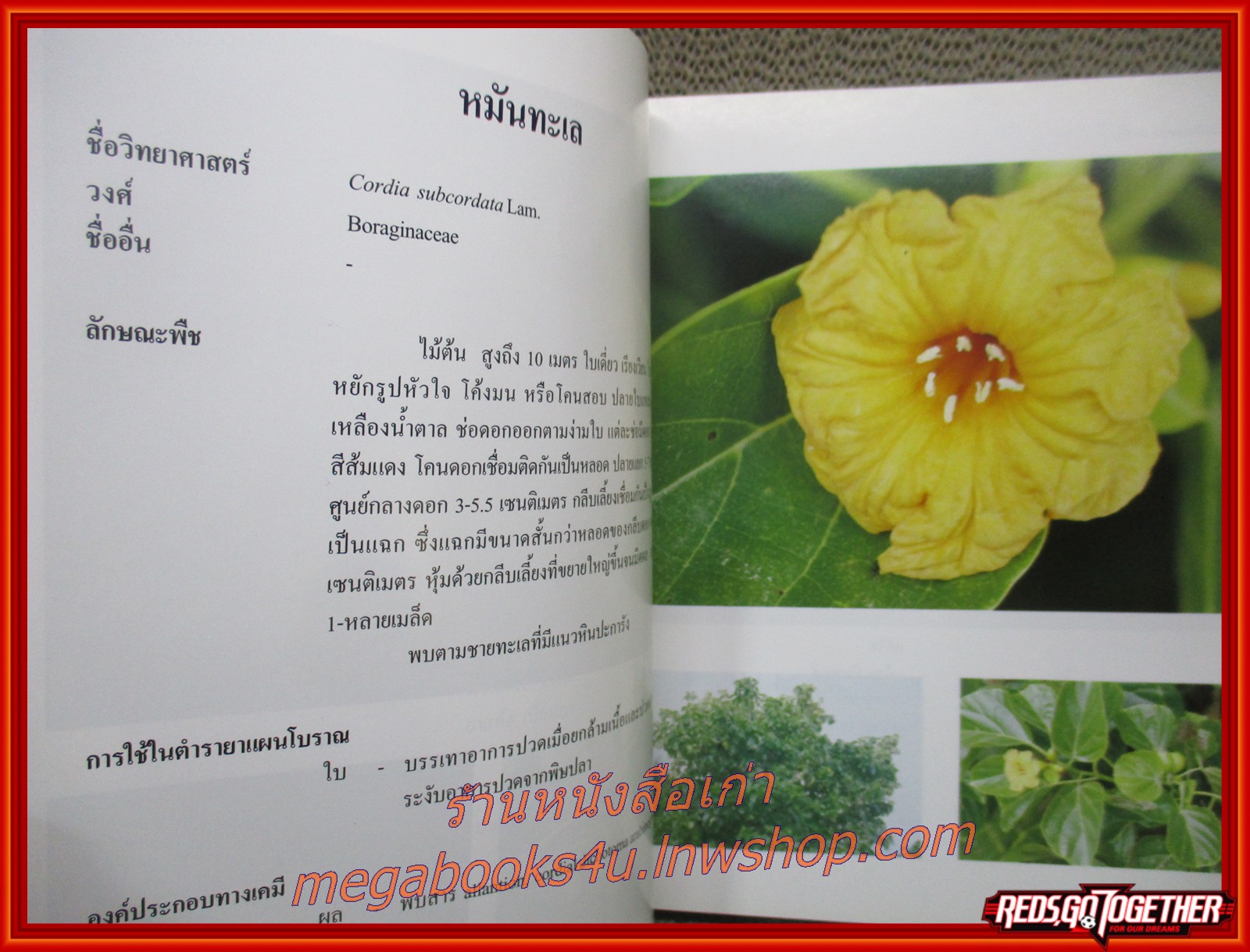 พืชสมุนไพรในประเทศไทย ตอนที่ 3 / ณุฉัตรา จันทร์สุวานิชย์