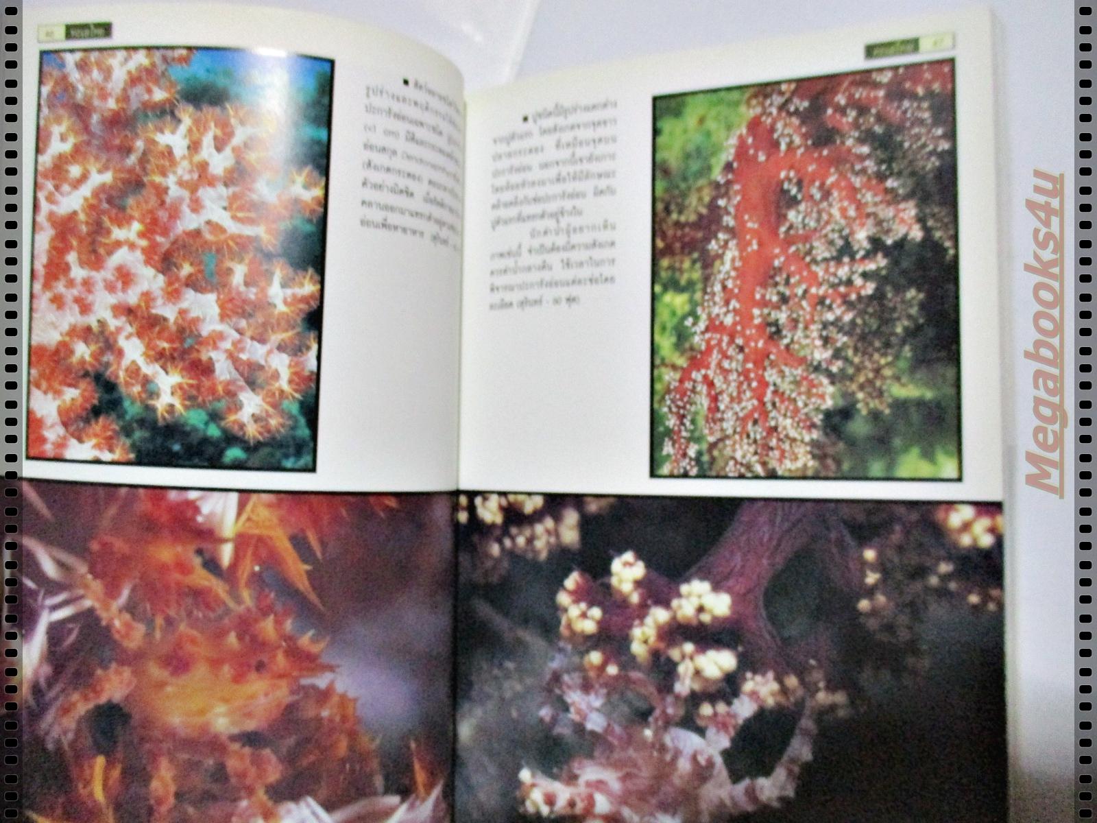 ทะเลไทย โดย ดร.ธรณ์ ธำรงนาวาสวัสดิ์