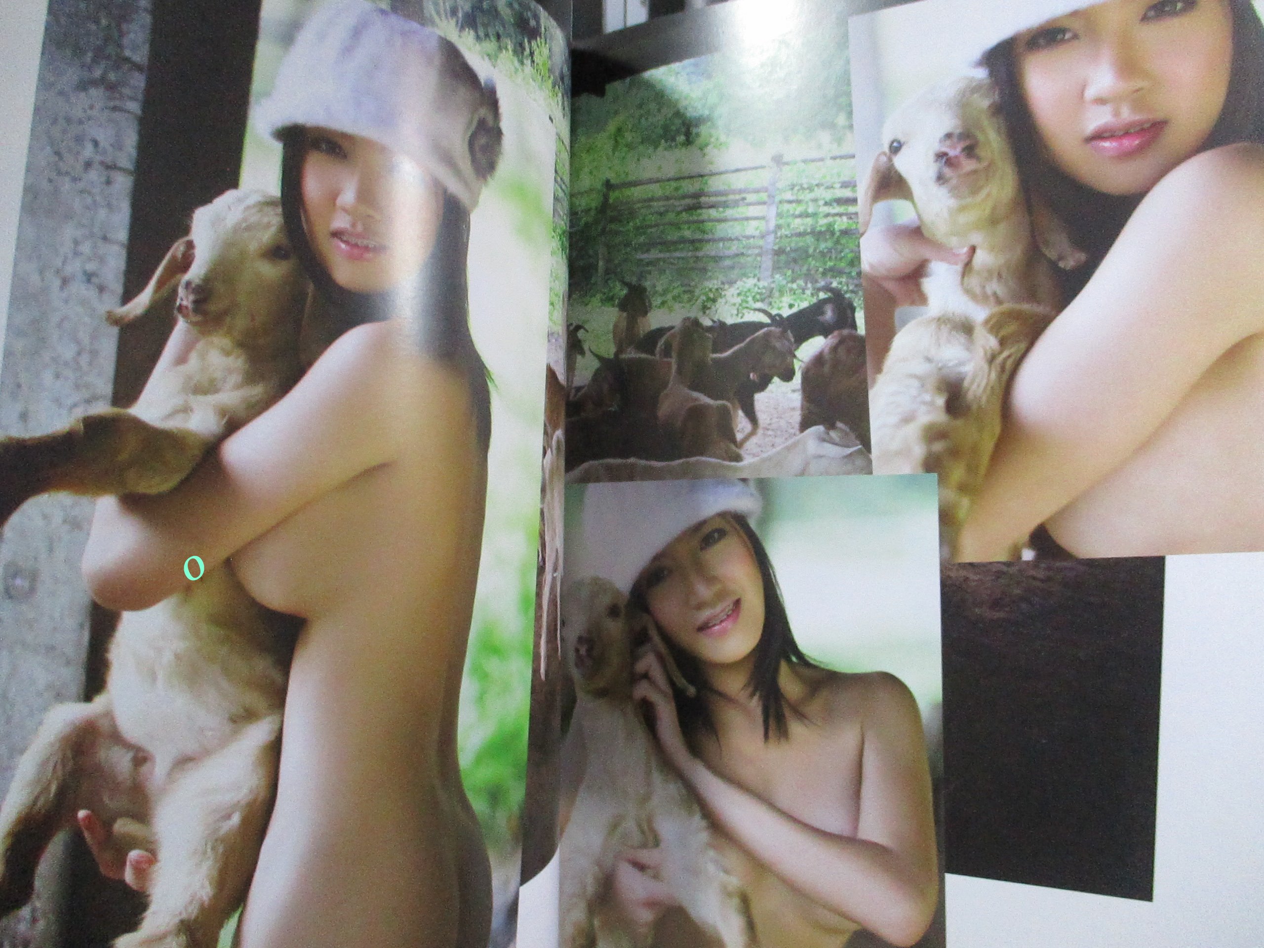 นิตยสาร I'M ICE-CREAM