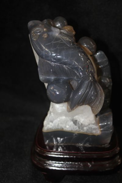 ปลาหลี่ฮื้อ