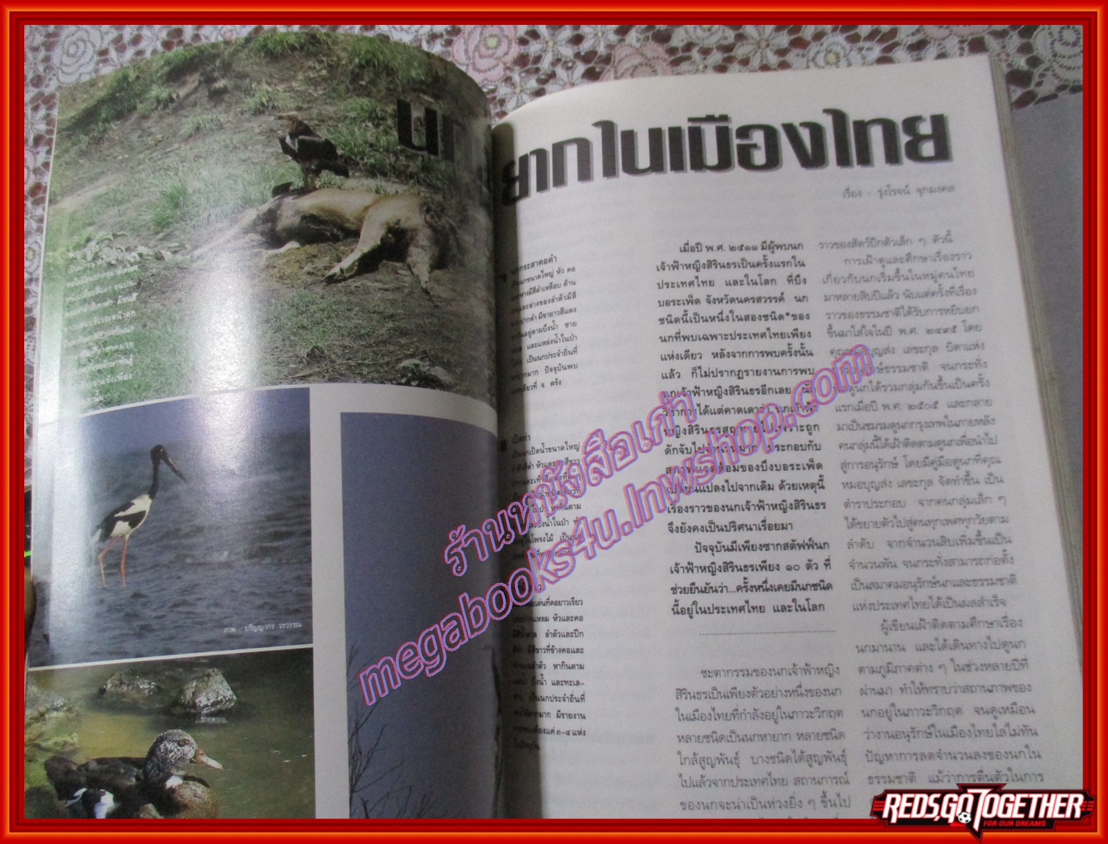 นิตยสารสารคดี ฉบับที่106 ธันวาคม 2536 นกหายาก คนญี่ปุ่นในกรุงเทพ คีรีวง