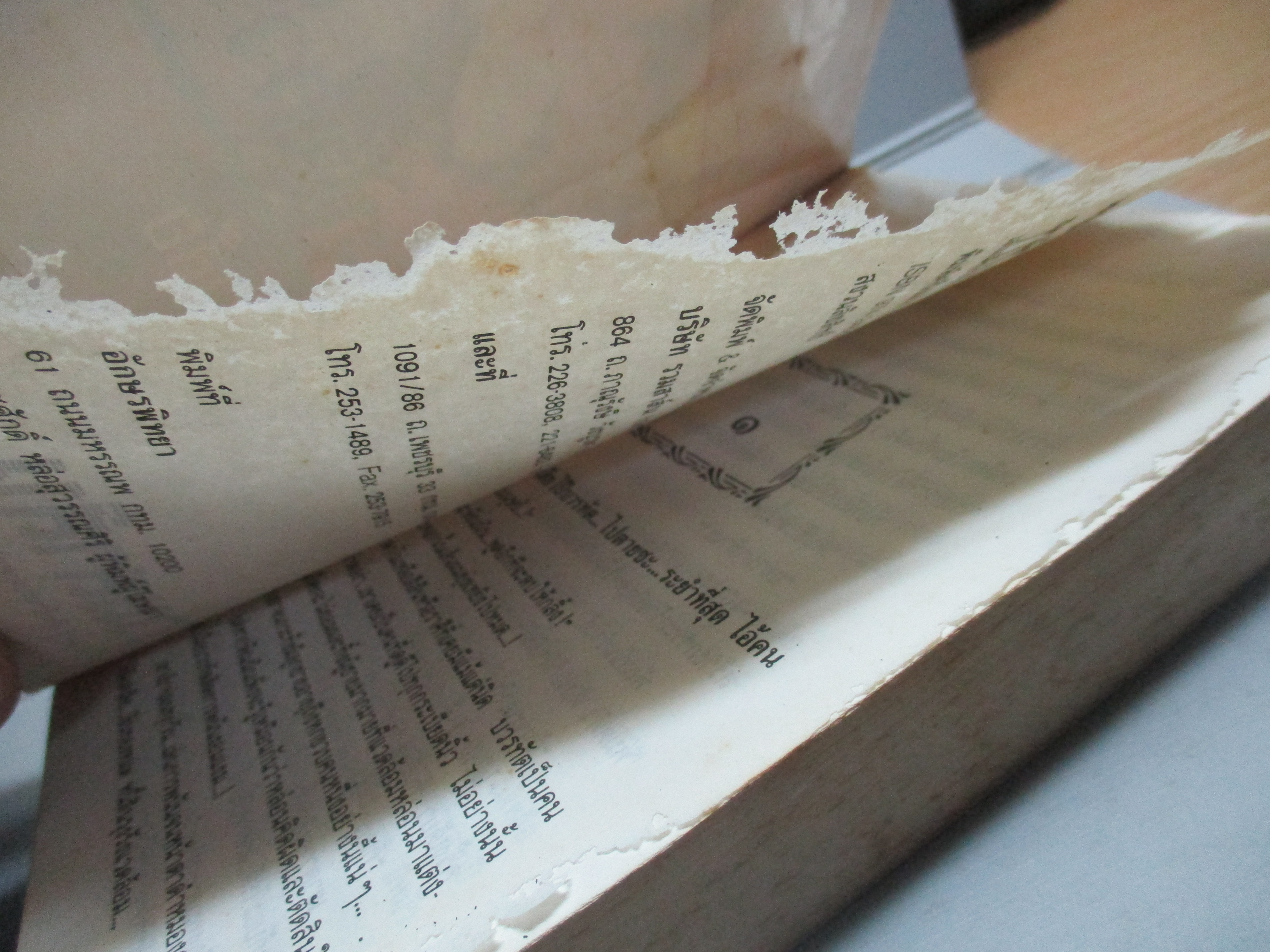 พรุ่งนี้จะบอกว่ารัก โดย ชลาลัย