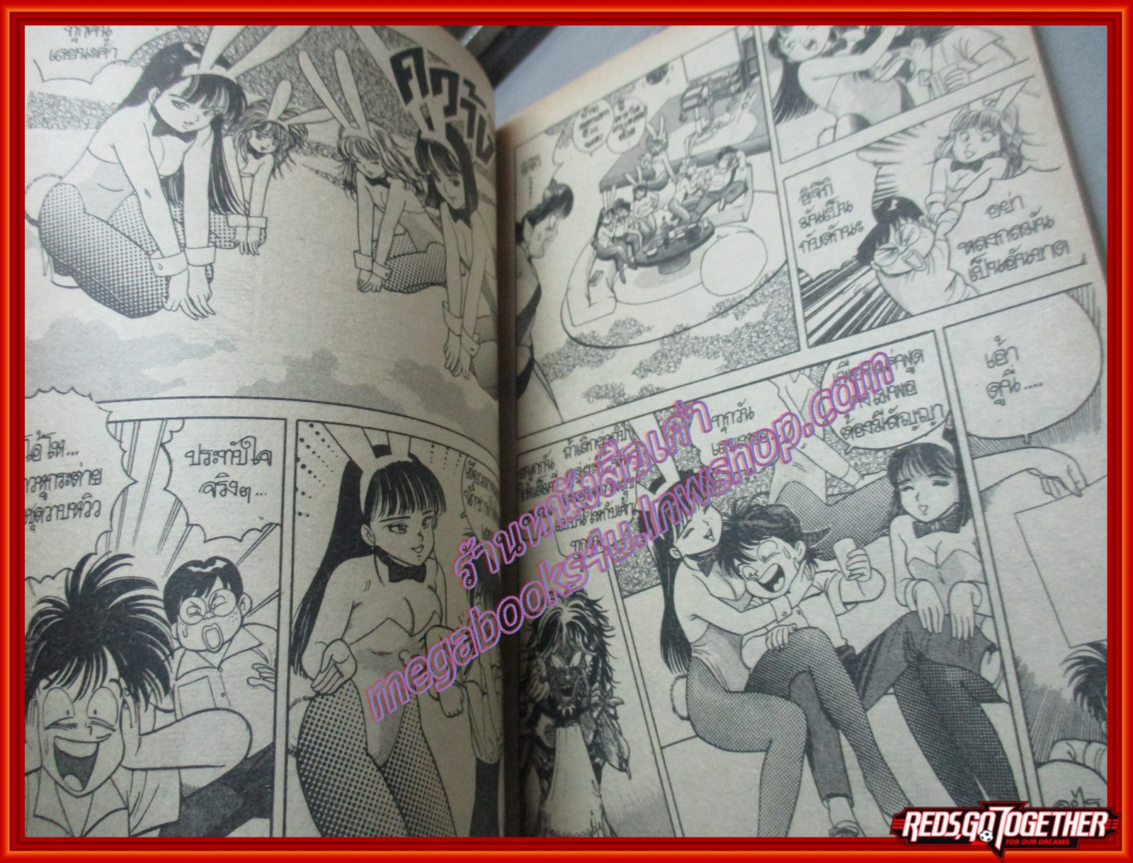 การ์ตูนบ้าน คู่แท้2มิติ เล่มเดียวจบ สนพ.ANIMATE