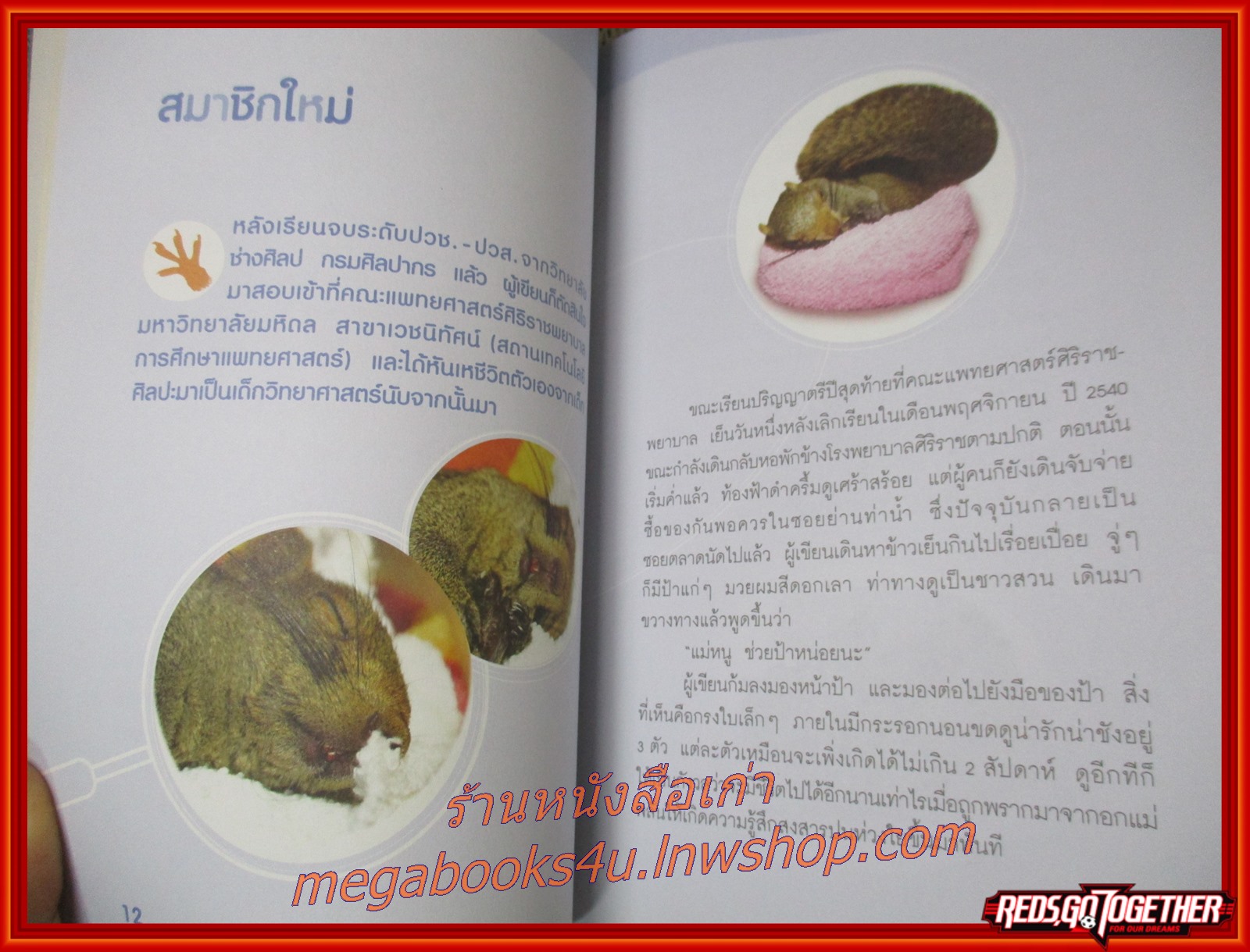 หมั่นโถว...มาแล้วครับ / เริงฤทัย อุดมศิลป์ / ความรักความผูกพันระหว่างคนตัวโตกับเพื่อนตัวเล็ก (กระรอก)