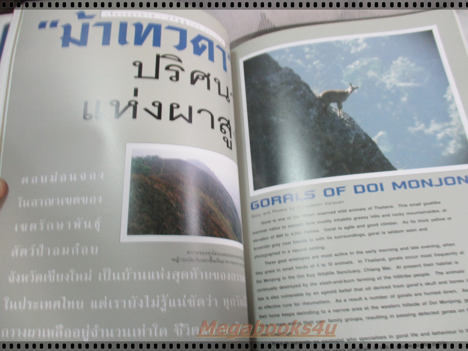 นิตยสารสารคดี ฉบับที่136 มิถุนายน 2539 กวางผา,กริช,ชีวิตในกัมพูชา,เที่ยวหนองบัวลำพู,