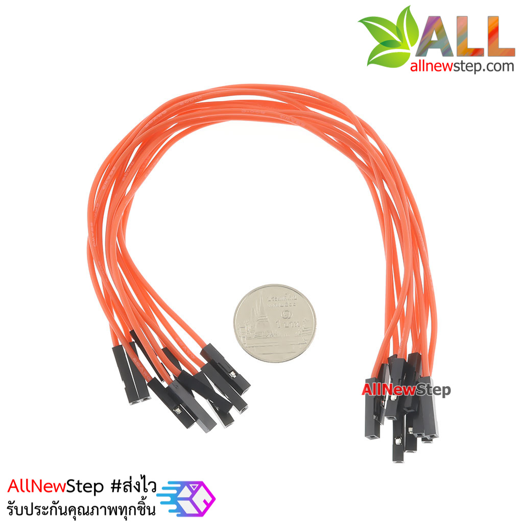 สายไฟจัมเปอร์ 20cm สาย jumper 20 cm จำนวน 10 เส้น เมีย-เมีย สีแดง