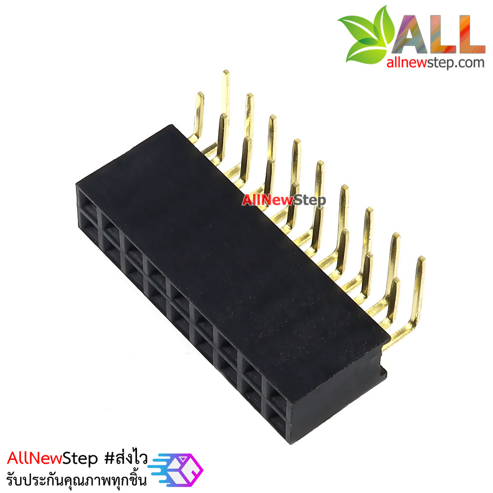 ขาก้างปลาตัวเมียแบบฉาก 2x9 ขา Double Row Hole Jack 2x9 PIN Header 2.54mm