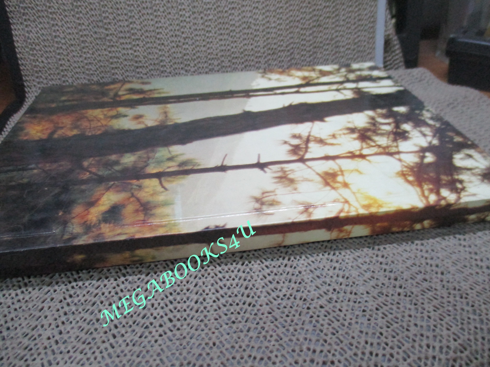 ภาพรถเก่า ราชรถ ในสมุดบันทึกของ กรมขนส่งทางบก ปี 2539 (ภายในมีการขีดเขียนบางหน้า ตามรูป)