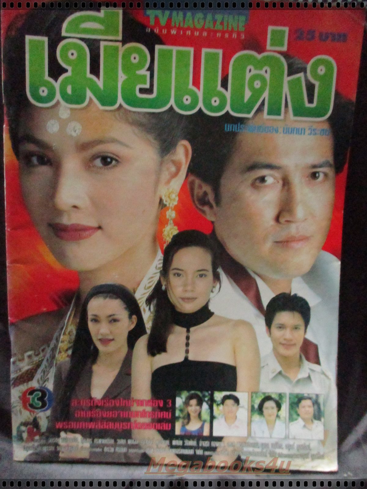 เรื่องย่อละคร เมียแต่ง โดย ฉัตรชัย เปล่งพานิช กุลสตรี ศิริพงษ์ปรีดา สภาพดี ปี2541