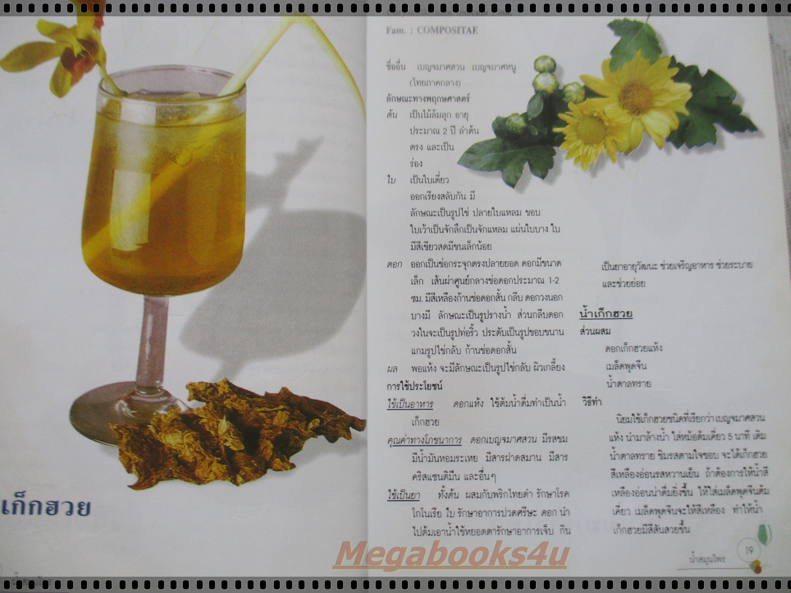 น้ำสมุนไพร108 โดย ศูนย์พัฒนาตำราการแพทย์แผนไทย