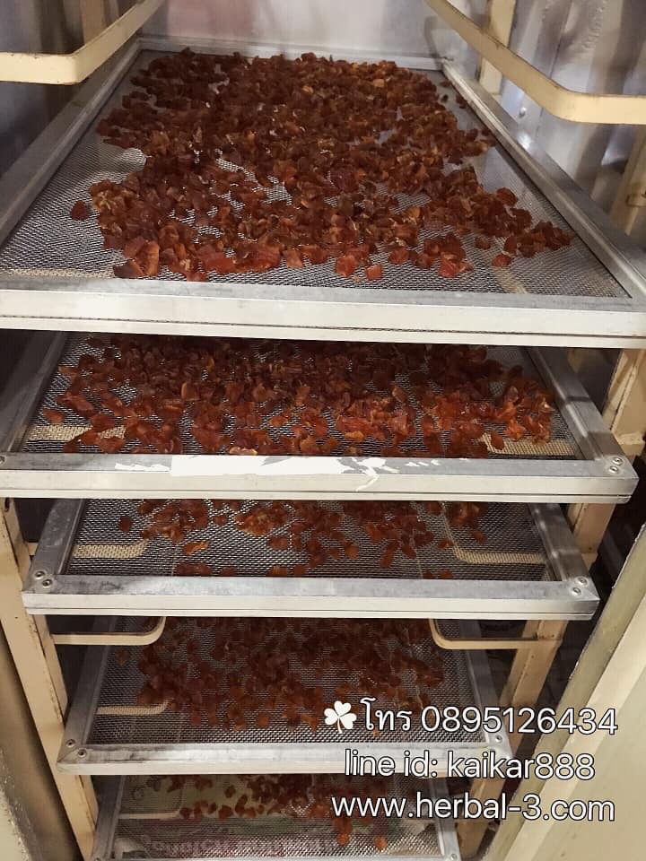 ขิงอบน้ำผึ้งแท้ 100% (50 กรัม)