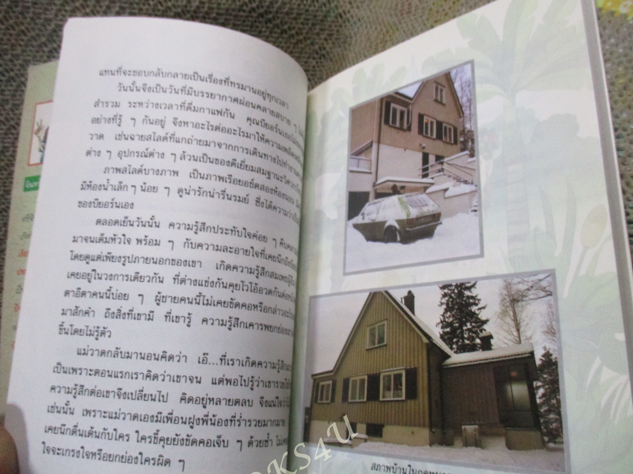 แม่วาดเมียบียอร์น-ตอนบุพเพสันนิวาส / จันทร์ ศรีจรูญ แอนเดอร์สัน (มือสอง) (สภาพ85-95%)