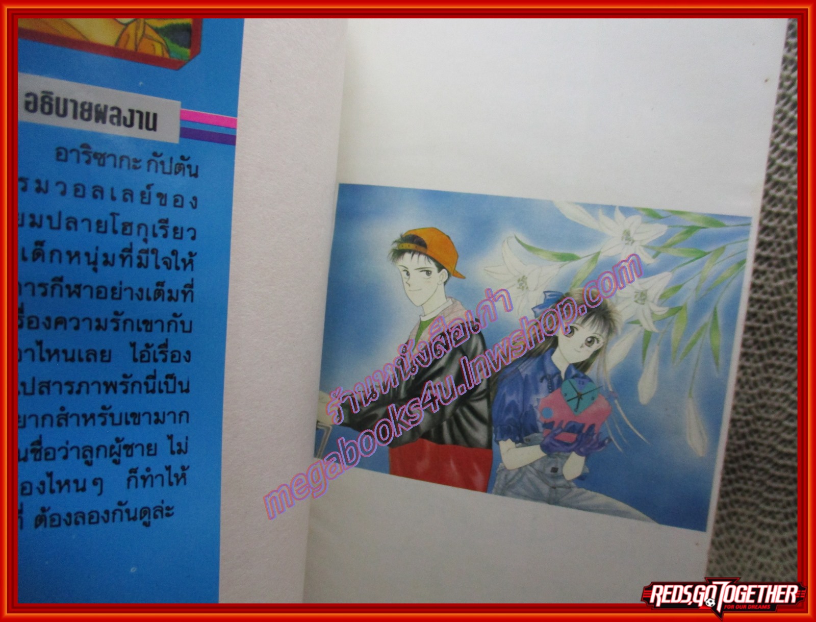 การ์ตูนบ้าน เส้นชัยของใจสู้ เล่มเดียวจบ สนพ.วิบูลย์กิจ