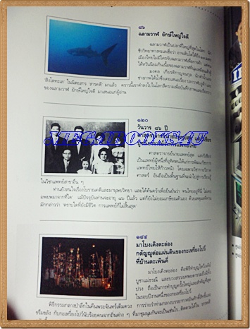 นิตยสารสารคดี ฉบับที่105 พฤศจิกายน 2536 ปีที่9 ปลาฉลามวาฬ,ศ.น.พ. สุด แสงวิเชียร,กะเหรี่ยงโปว์,เที่ยวชลบุรี,