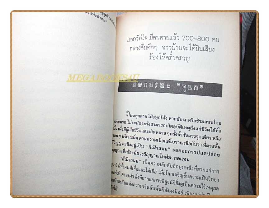 ผีเฝ้าถนน โดย ตีรธรรม