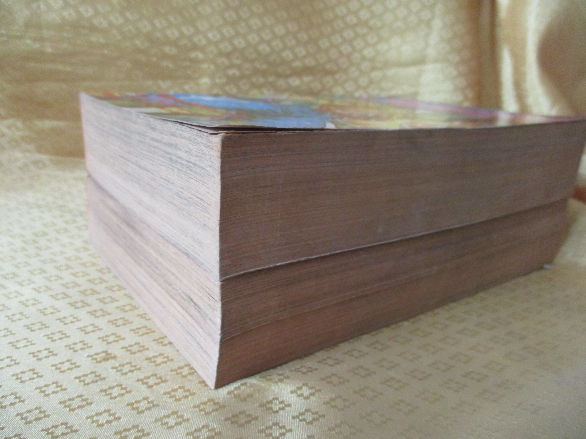 การ์ตูนบ้าน ก๊อดไซเดอร์ ครบชุด2เล่มจบ สนพ.หมึกจีน