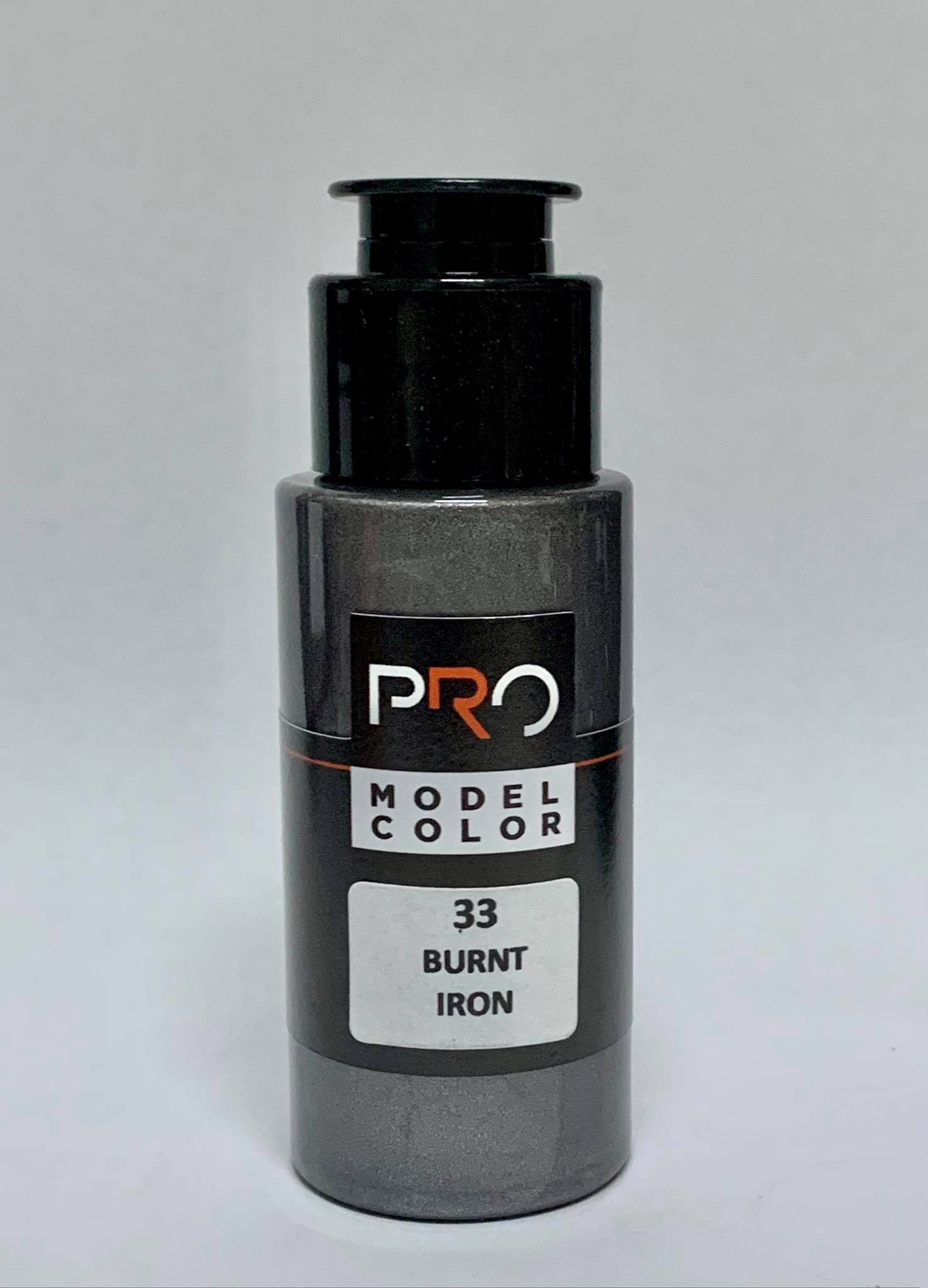 PRO COLOR # 33 BURNT IRON ขนาด 30ml