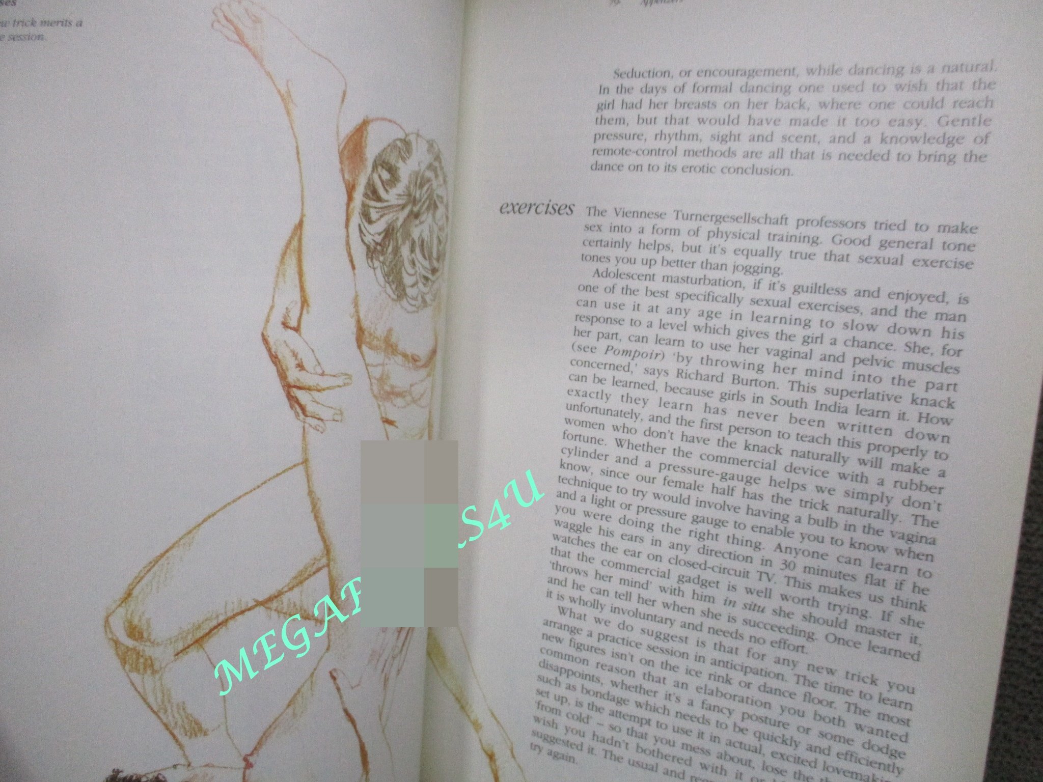 หนังสือ THE NEW JOY OF SEX / ALEX COMFORT (ภาษาอังกฤษ)