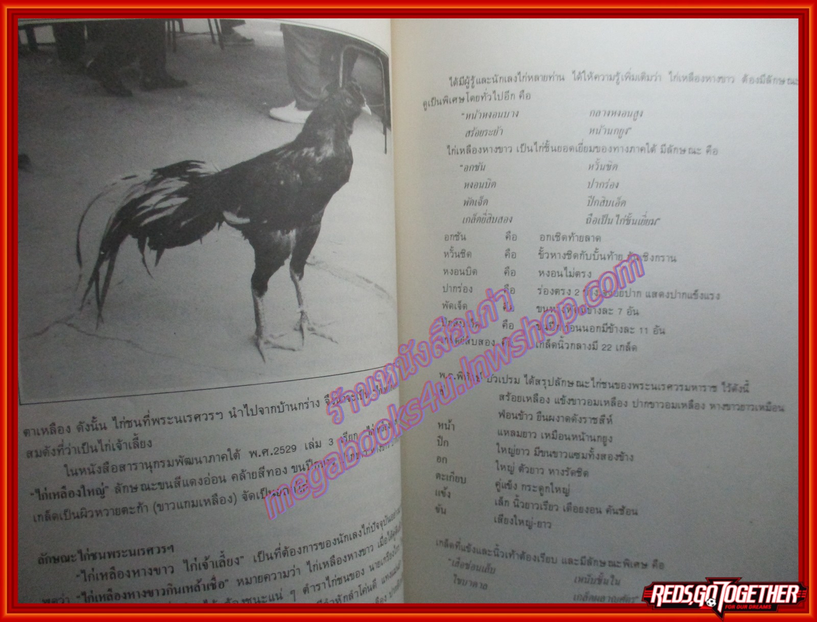 หนังสือ ไก่ชนพระนเรศวรมหาราช โดย นิสิต ตั้งตระการพงษ์